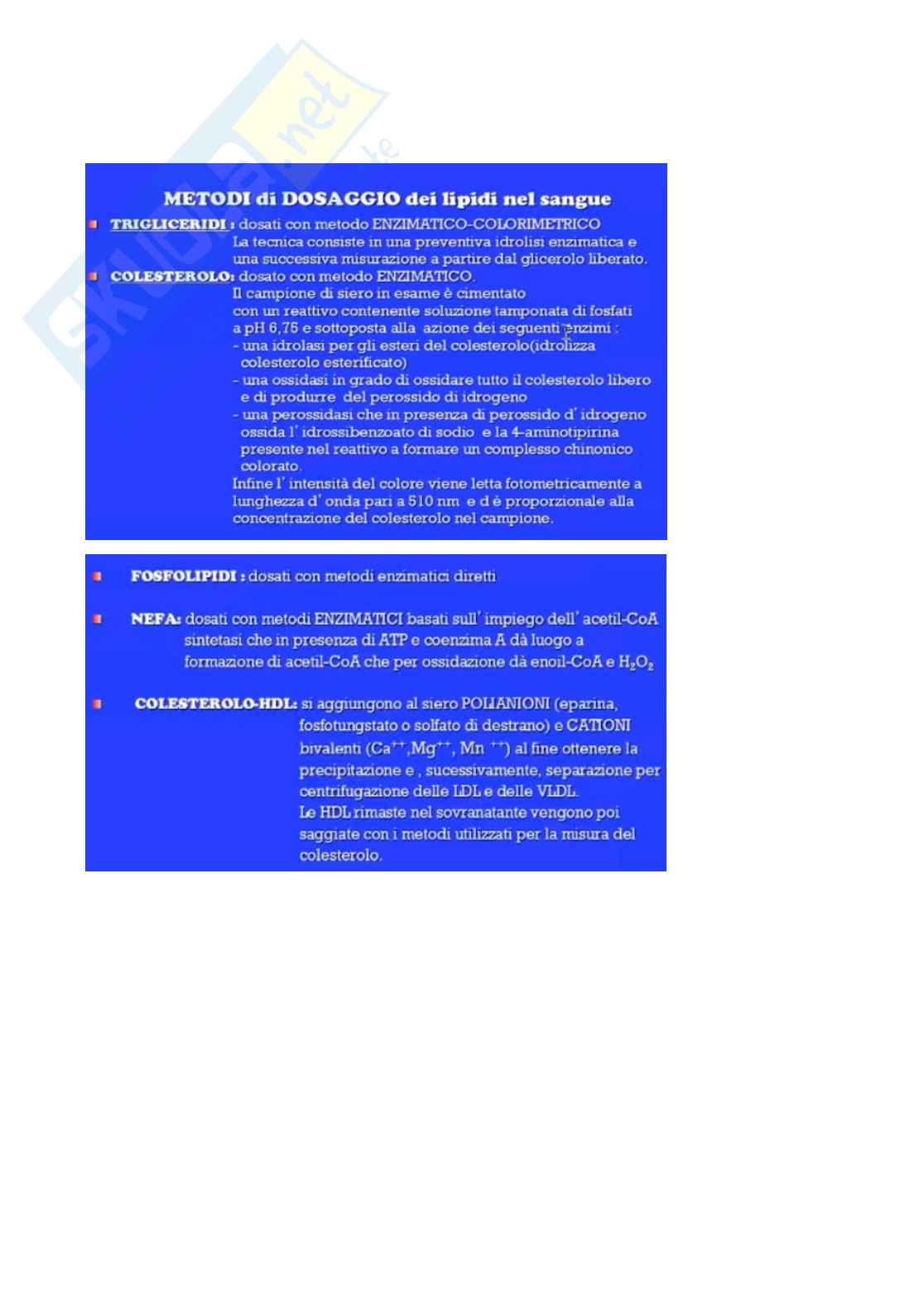 Dosaggio dei lipidi, tecniche elettroforetiche e immunoblotting nella diagnostica delle dislipidemie Pag. 1