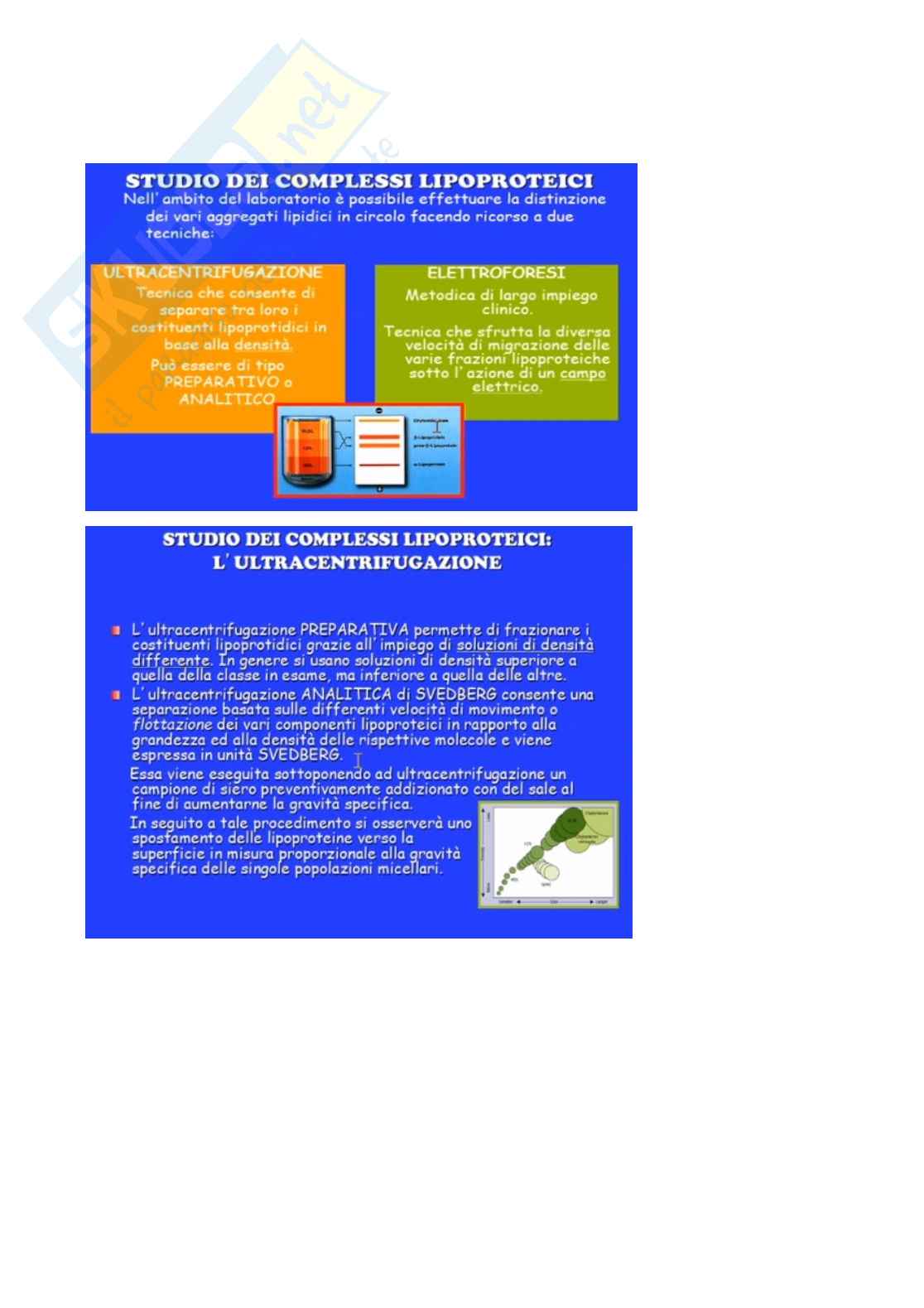 Dosaggio dei lipidi, tecniche elettroforetiche e immunoblotting nella diagnostica delle dislipidemie Pag. 2
