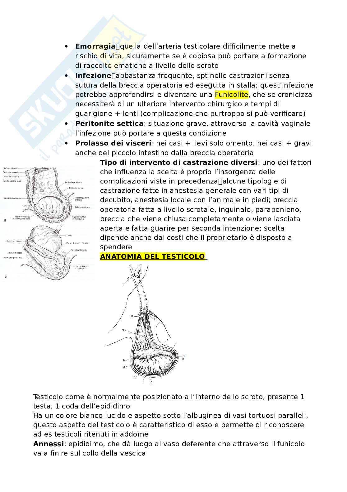 Clinica chirurgica veterinaria Pag. 21