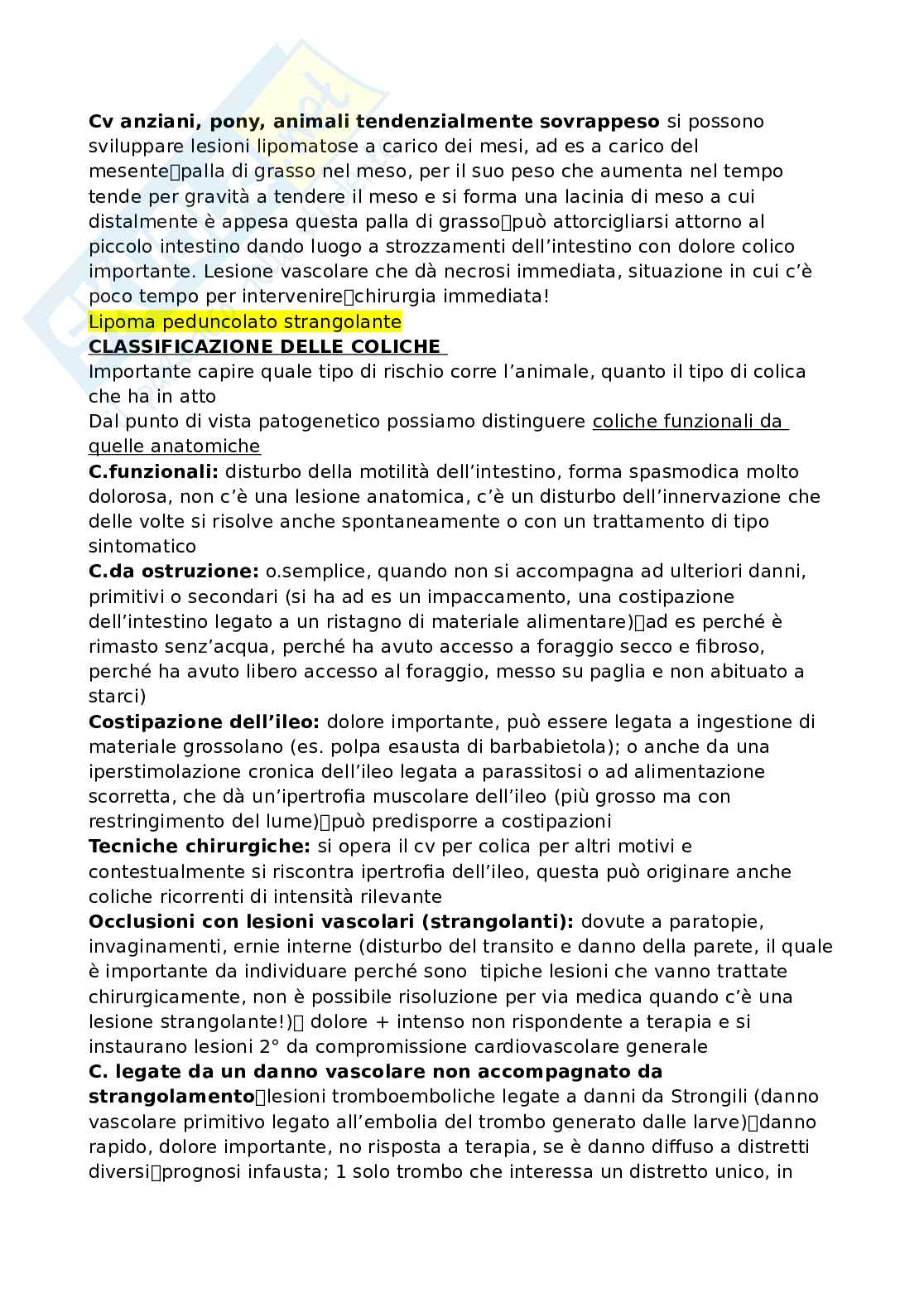 Clinica chirurgica veterinaria Pag. 31