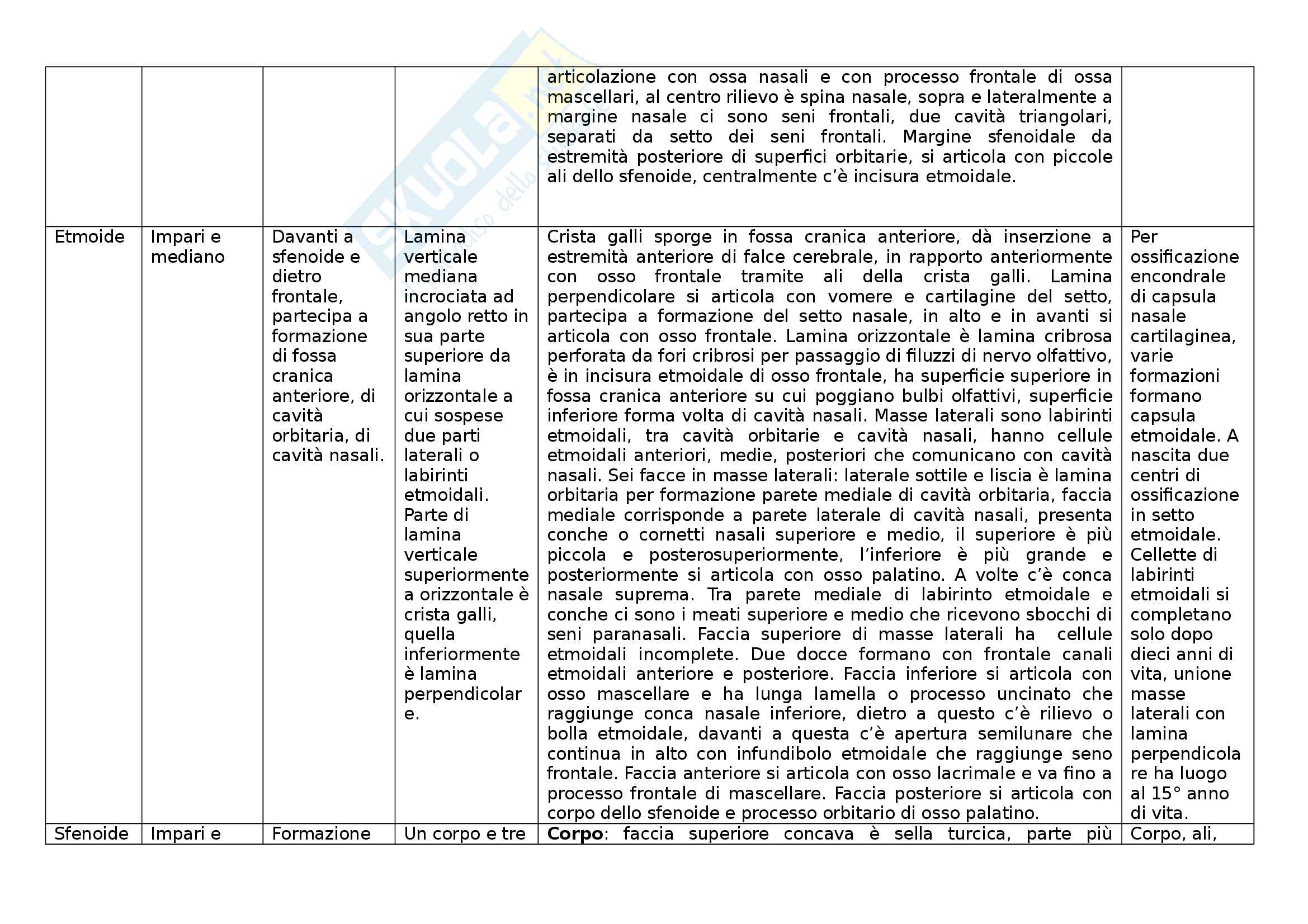 Ossa - Tabella delle ossa, indicazione di tipologia dell'osso, posizione, parti costituenti, caratteristiche, sviluppo Pag. 2
