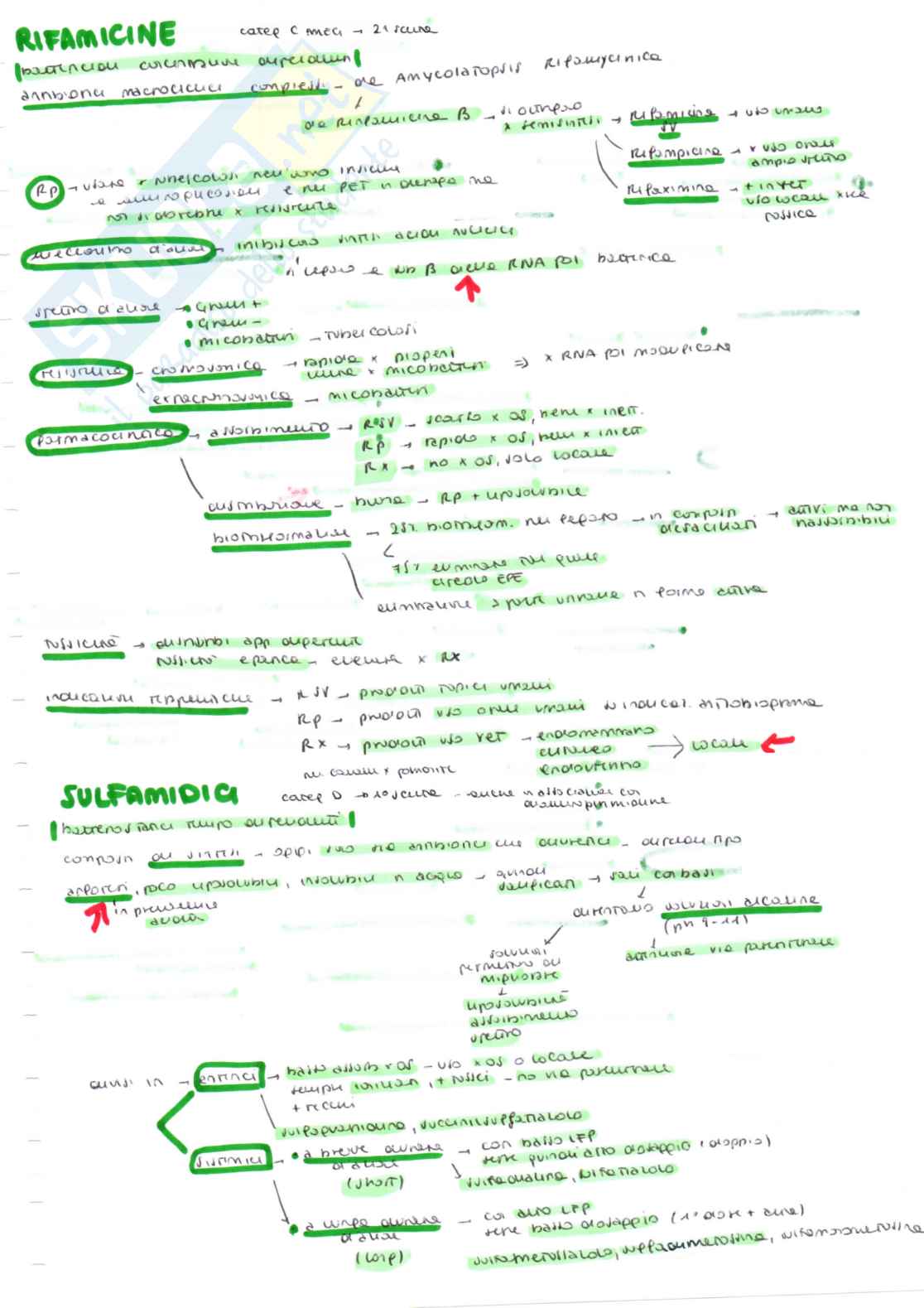Farmacologia speciale veterinaria, parte 2 - Appunti schematizzati scritti a mano e colorati Pag. 16