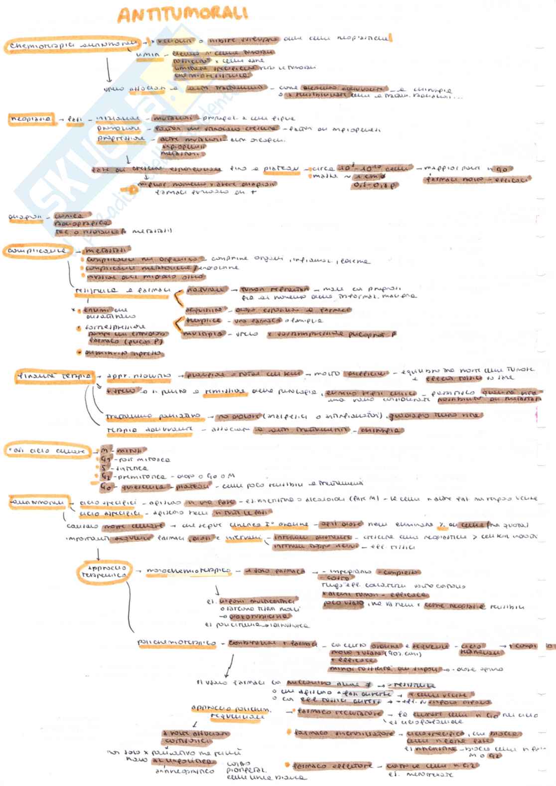Farmacologia speciale veterinaria, parte 2 - Appunti schematizzati scritti a mano e colorati Pag. 2
