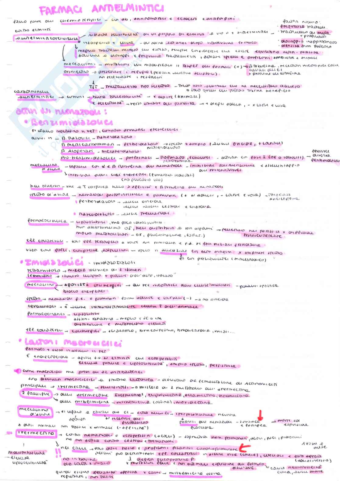 Farmacologia speciale veterinaria, parte 2 - Appunti schematizzati scritti a mano e colorati Pag. 21