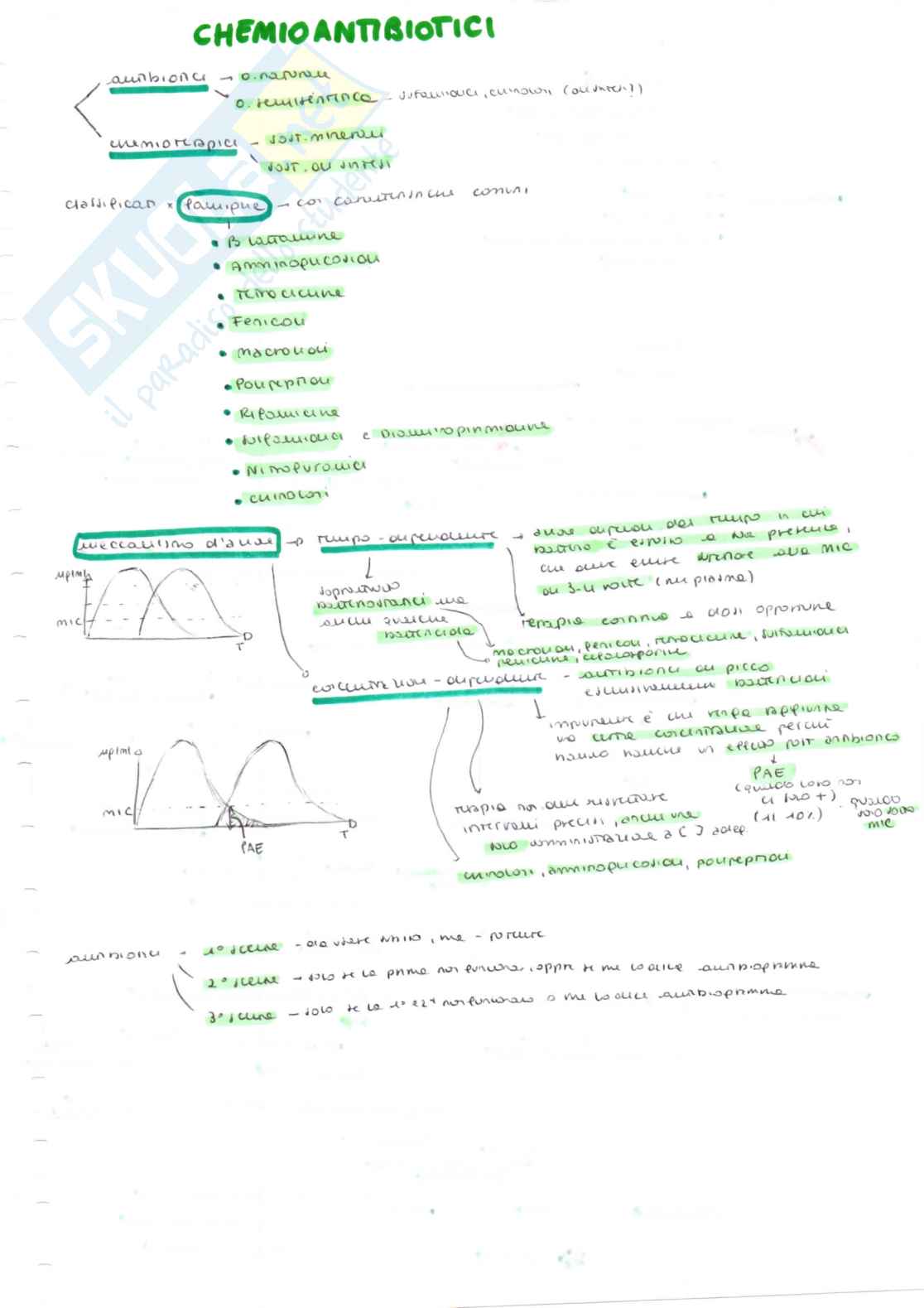 Farmacologia speciale veterinaria, parte 2 - Appunti schematizzati scritti a mano e colorati Pag. 6