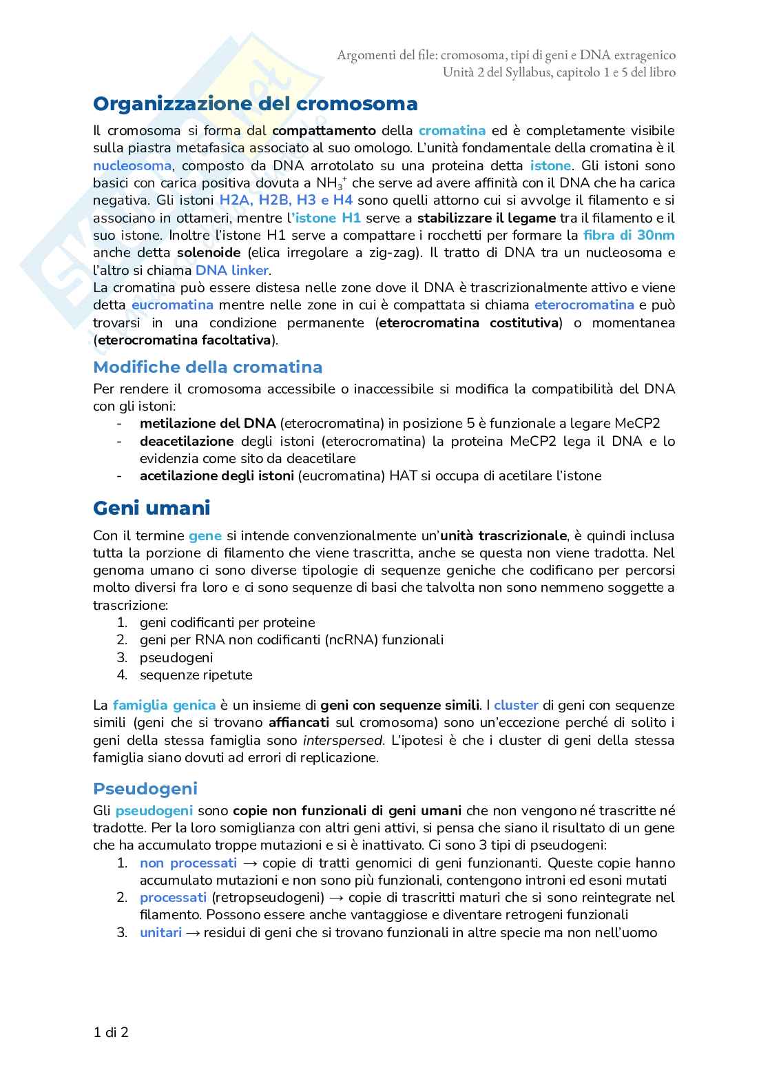 Riassunto esame Biologia, Prof. Frabetti Flavia, libro consigliato Biologia e Genetica - Manuale completo per il semestre filtro, Alessandro, Bucci, Fasano Pag. 1