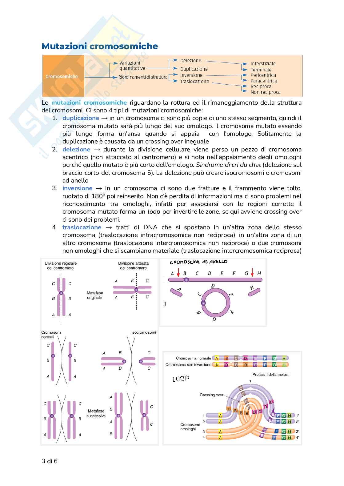 Riassunto esame Biologia, Prof. Frabetti Flavia, libro consigliato Biologia e Genetica - Manuale completo per il semestre filtro, Alessandro, Bucci, Fasano Pag. 11