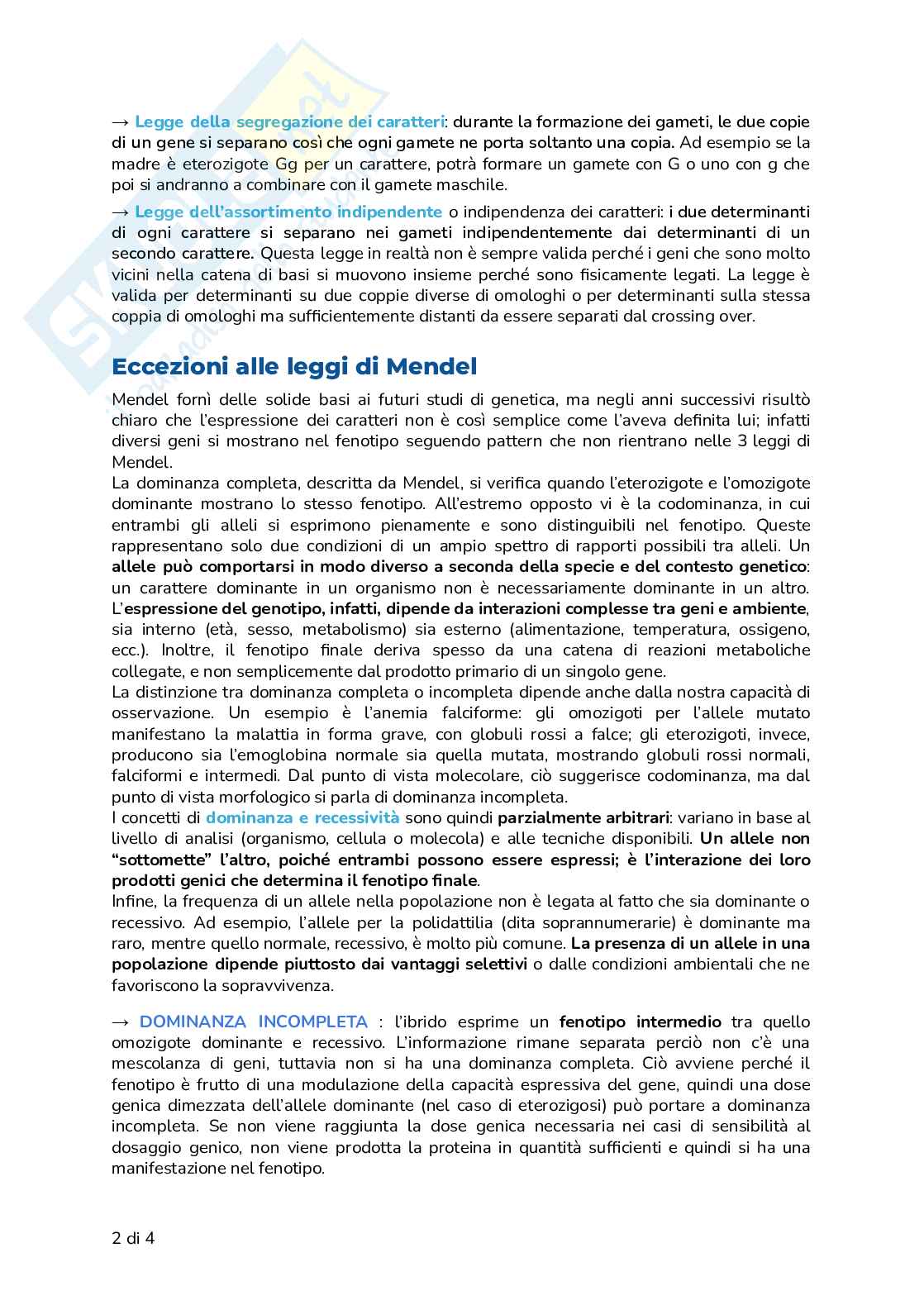 Riassunto esame Biologia, Prof. Frabetti Flavia, libro consigliato Biologia e Genetica - Manuale completo per il semestre filtro, Alessandro, Bucci, Fasano Pag. 16