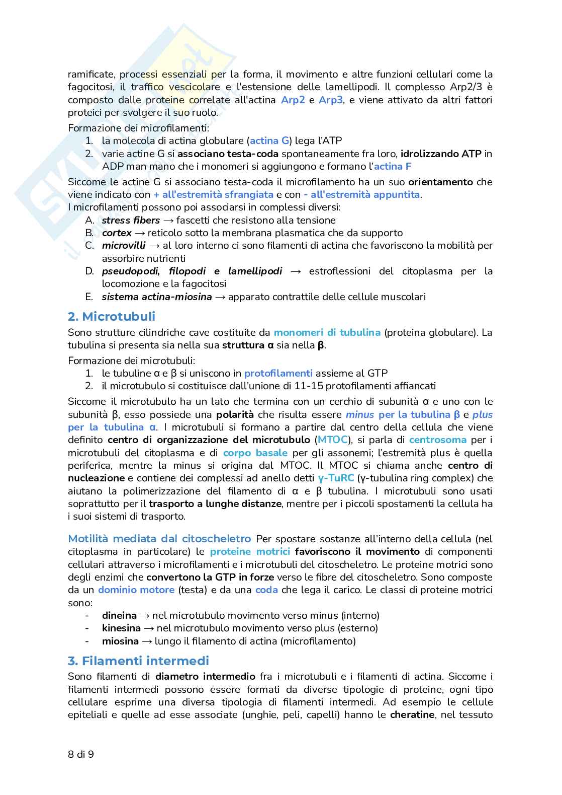 Riassunto esame Biologia, Prof. Frabetti Flavia, libro consigliato Biologia e Genetica - Manuale completo per il semestre filtro, Alessandro, Bucci, Fasano Pag. 31