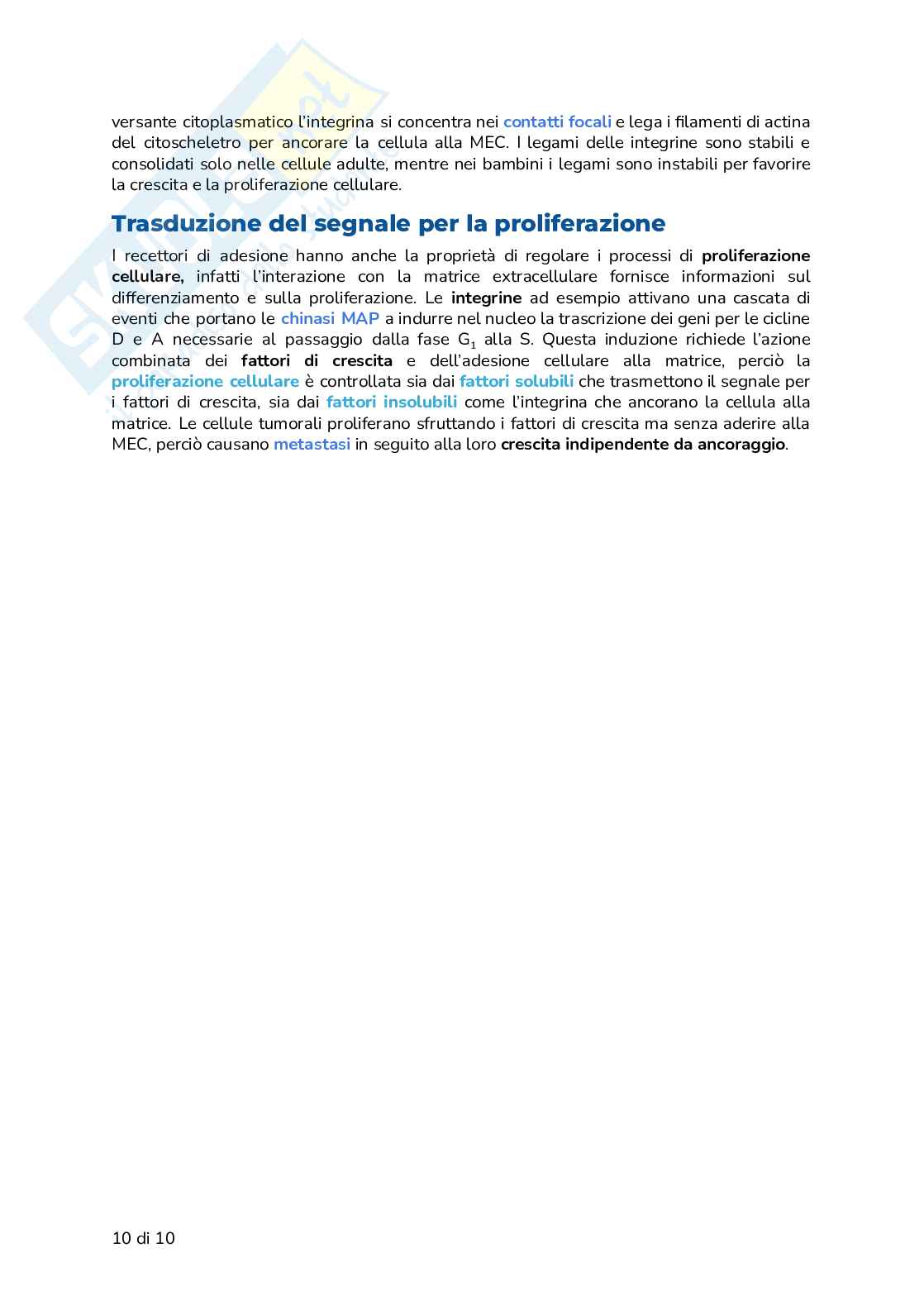 Riassunto esame Biologia, Prof. Frabetti Flavia, libro consigliato Biologia e Genetica - Manuale completo per il semestre filtro, Alessandro, Bucci, Fasano Pag. 46