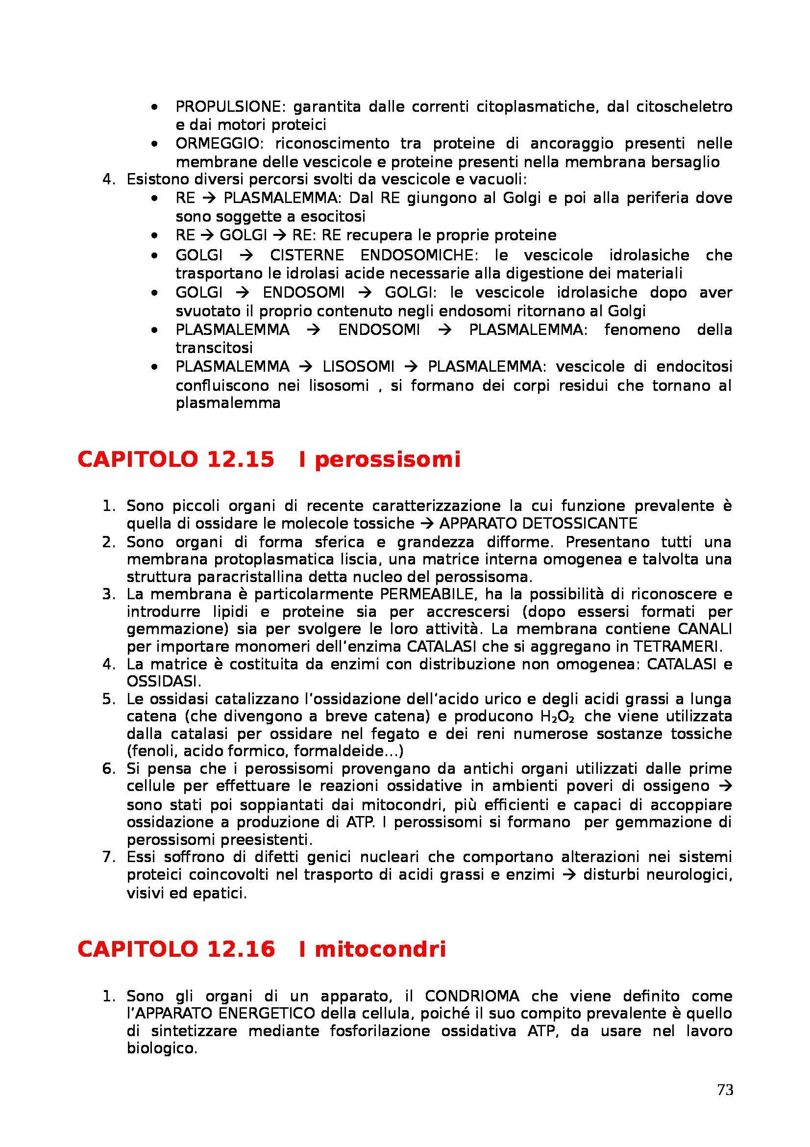 Riassunto esame Citologia, Embriologia e Istologia, prof. Scandroglio, libro consigliato La porta che apre al mondo della medicina, tomo I Pag. 61