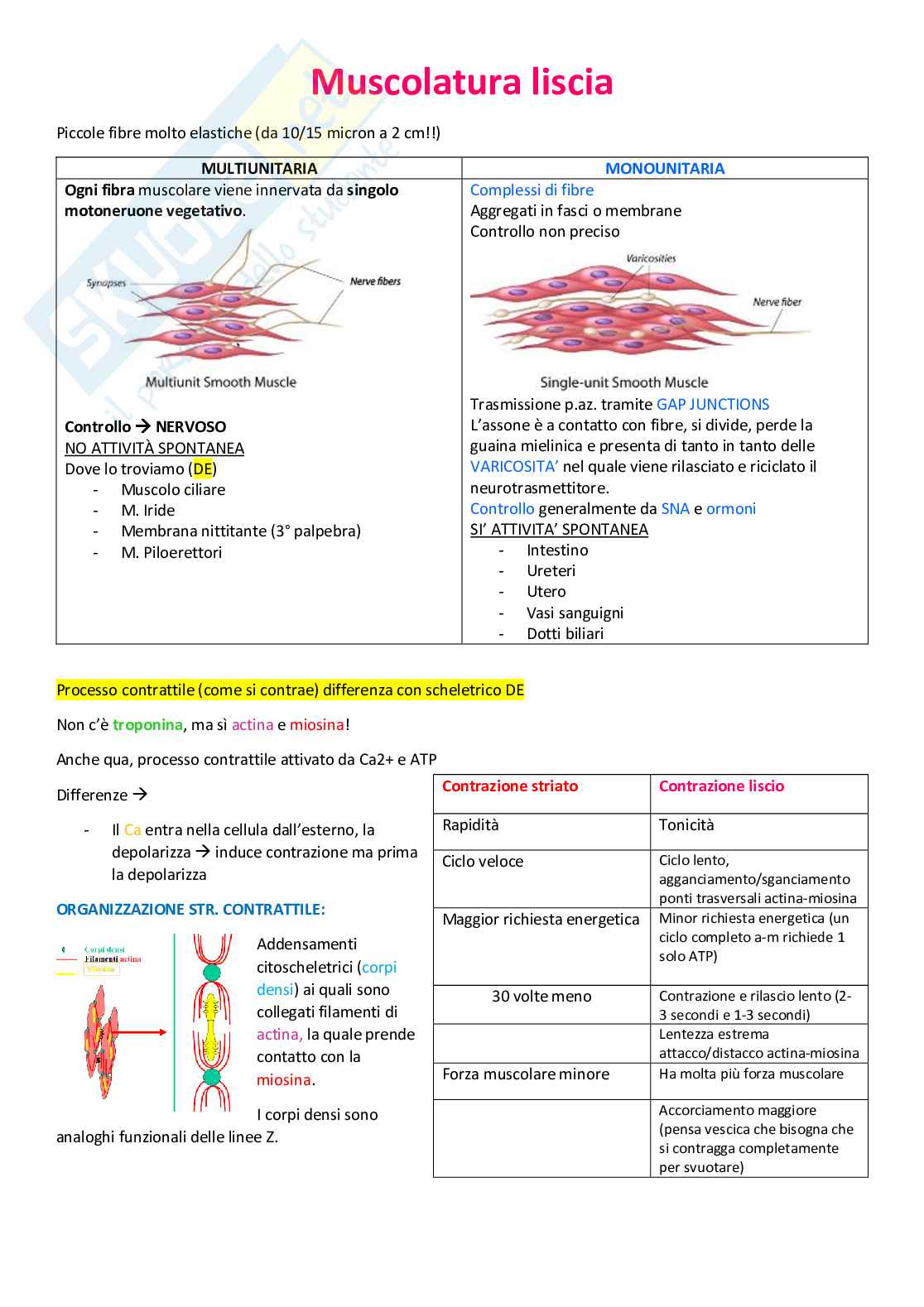 Fisiologia 1 - Fisiologia muscolo Pag. 6