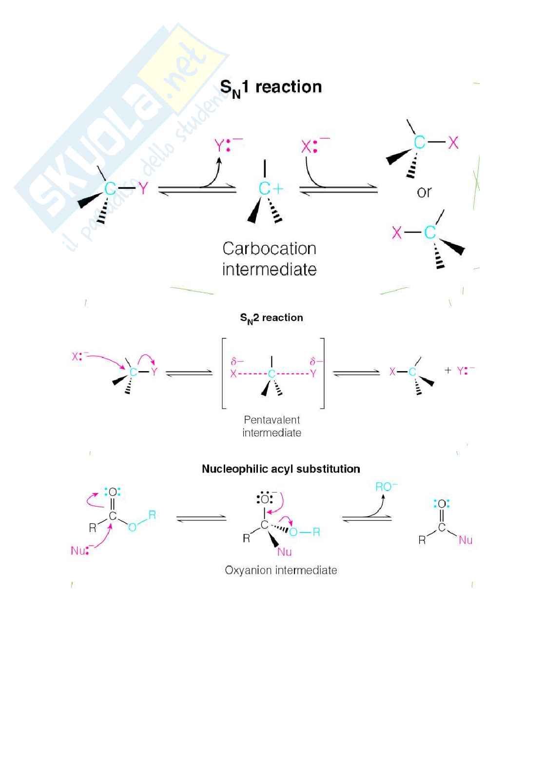 Biochimica parte II - Metabolismo Pag. 16