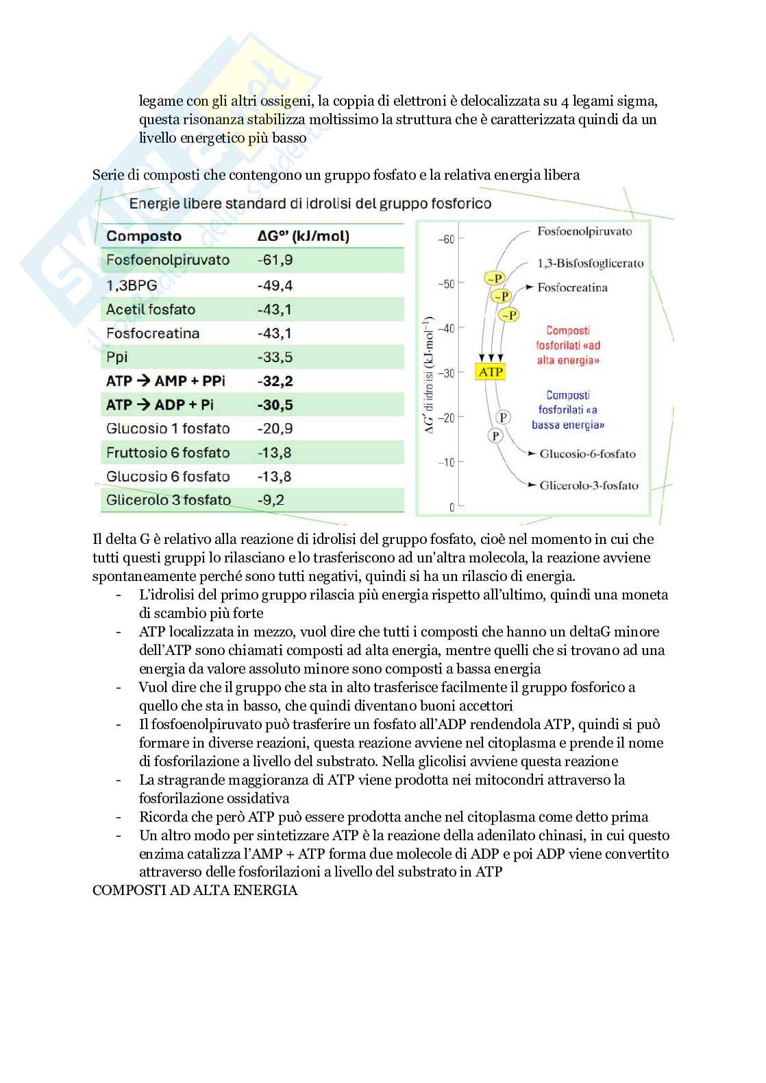 Biochimica parte II - Metabolismo Pag. 6