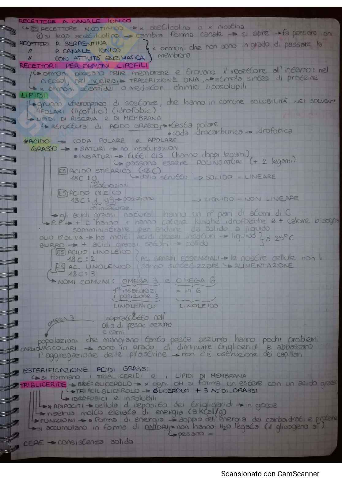 Biochimica Pag. 21