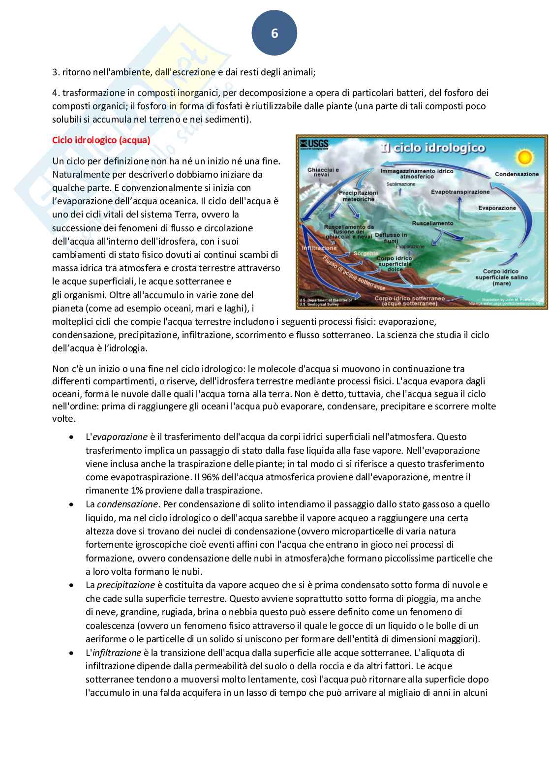 Ecologia Pag. 6