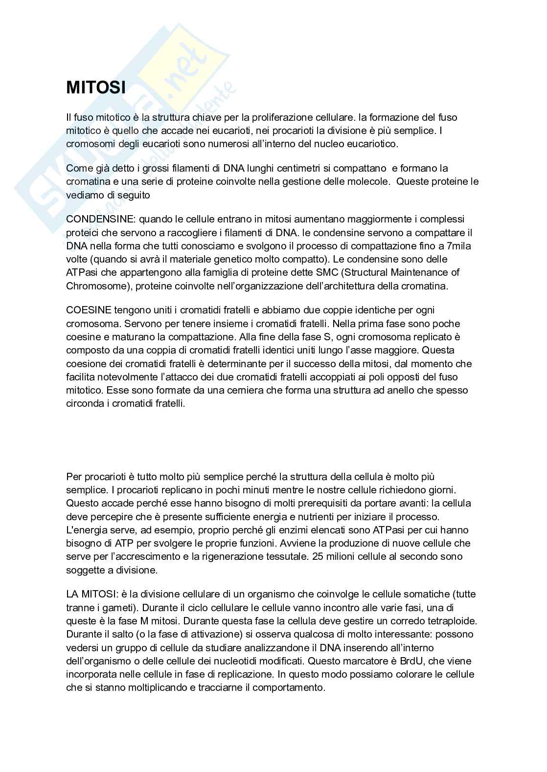 Mitosi Pag. 1
