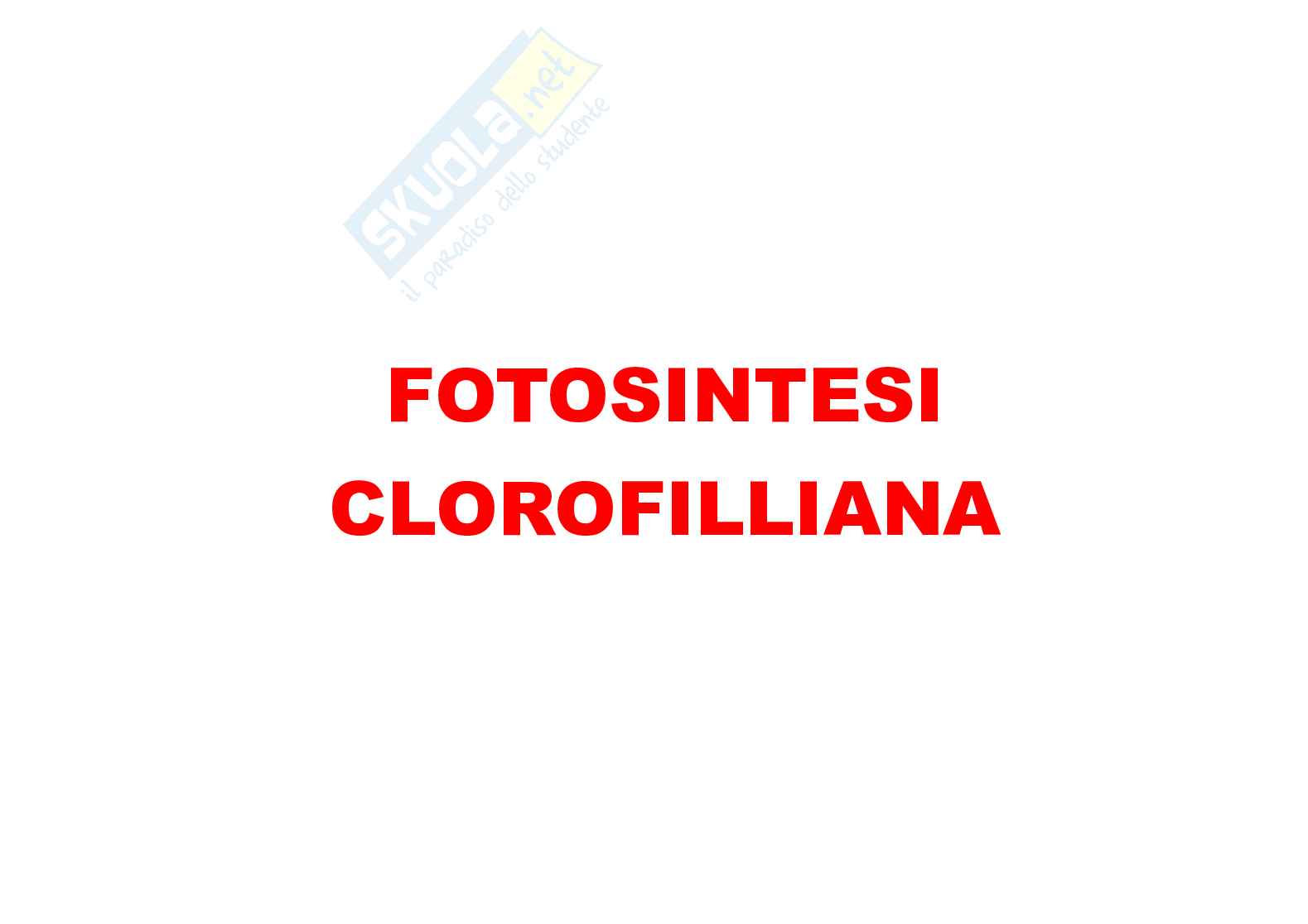 Schemi di Botanica Pag. 21