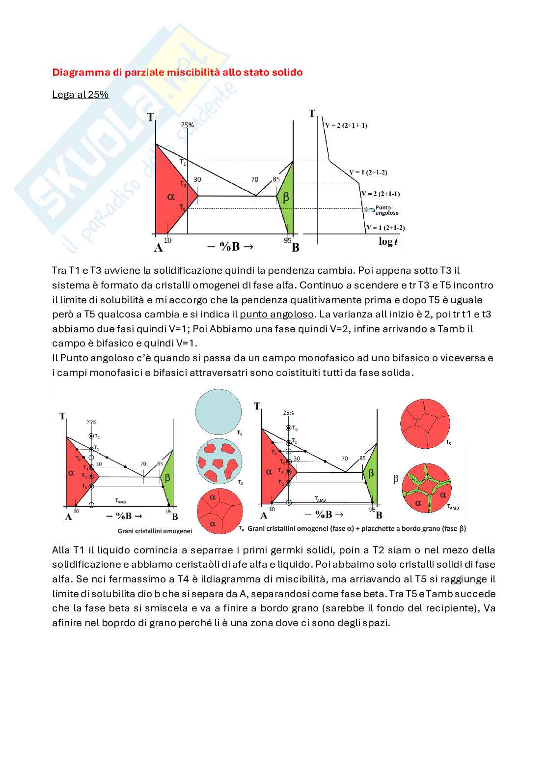 Appunti Metallurgia - Parte 3 Pag. 11