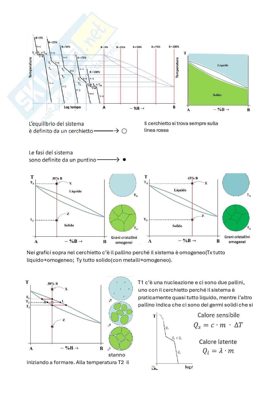 Appunti Metallurgia - Parte 3 Pag. 2