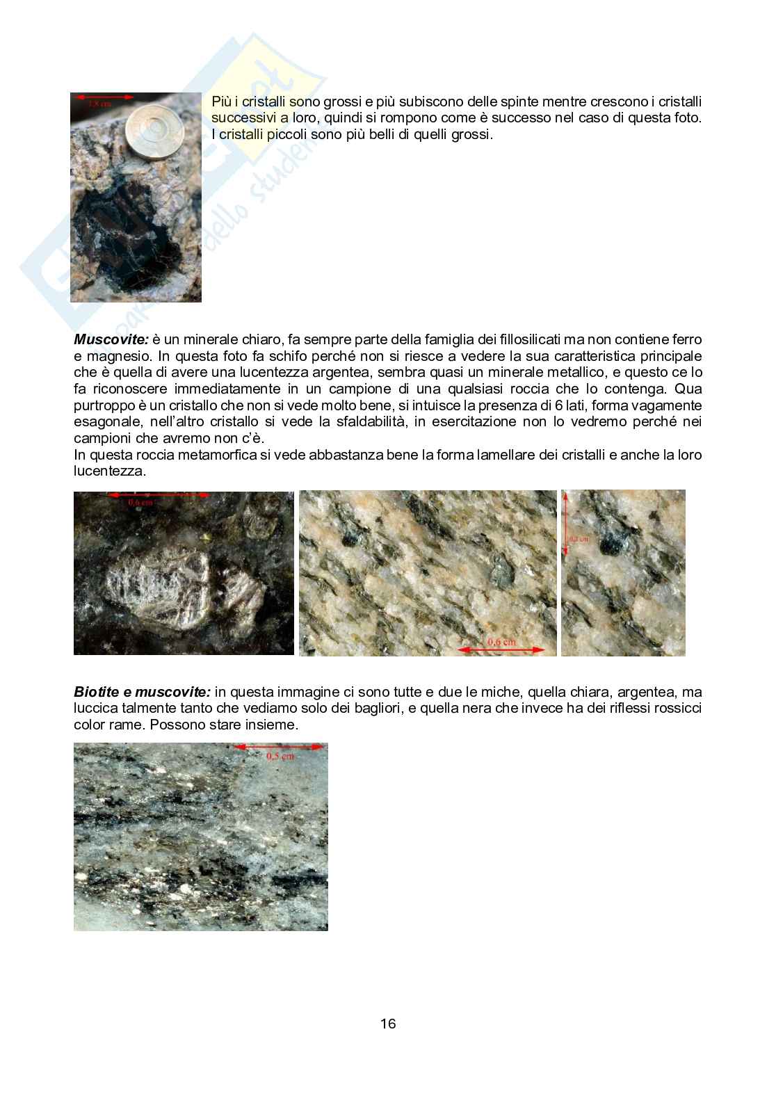Appunti Geologia - modulo rocce Pag. 16