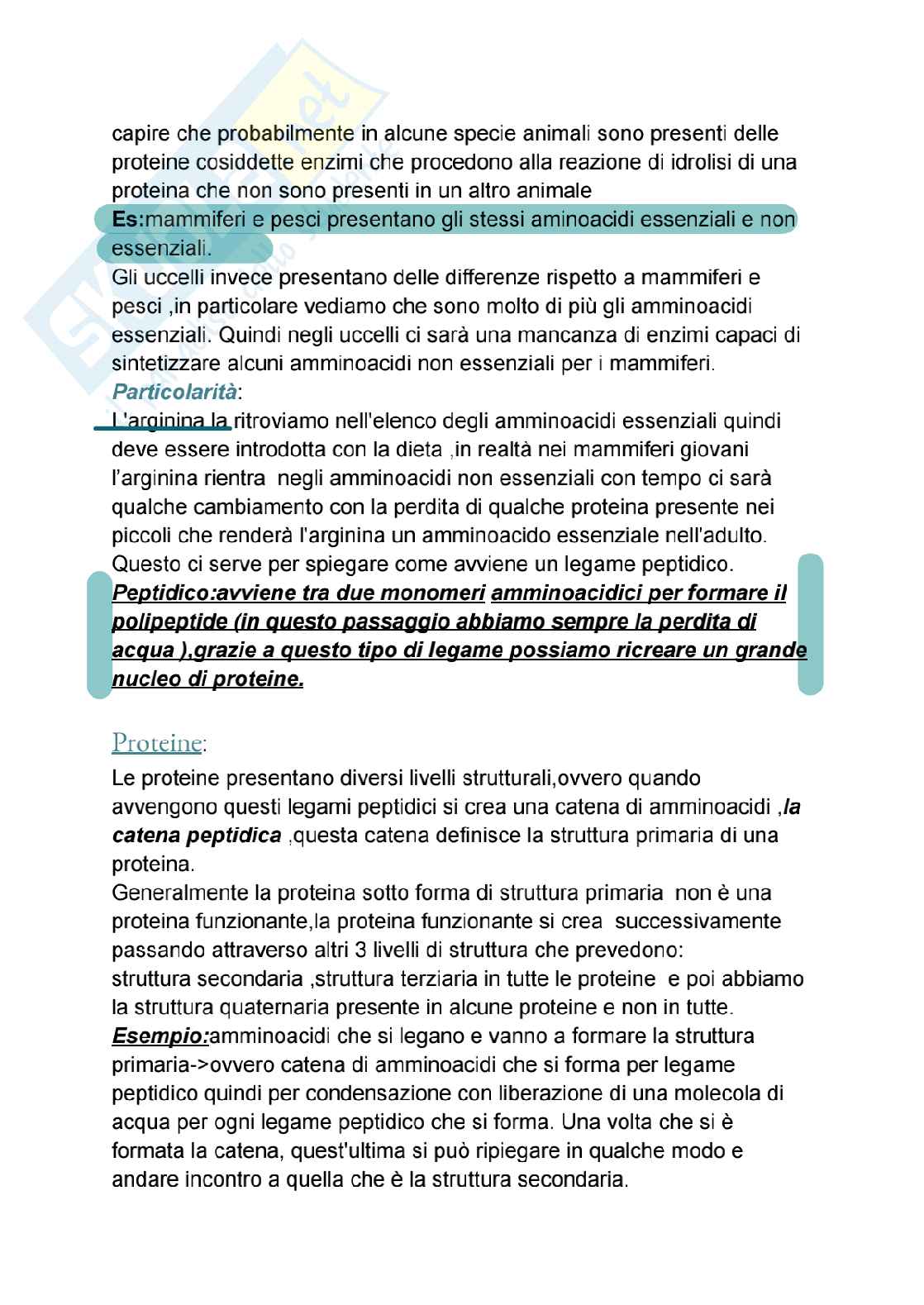Riassunto esame Citologia e istologia, Prof. Imperatore Roberta, libro consigliato Citologia e Istologia , Delle donne  Pag. 6