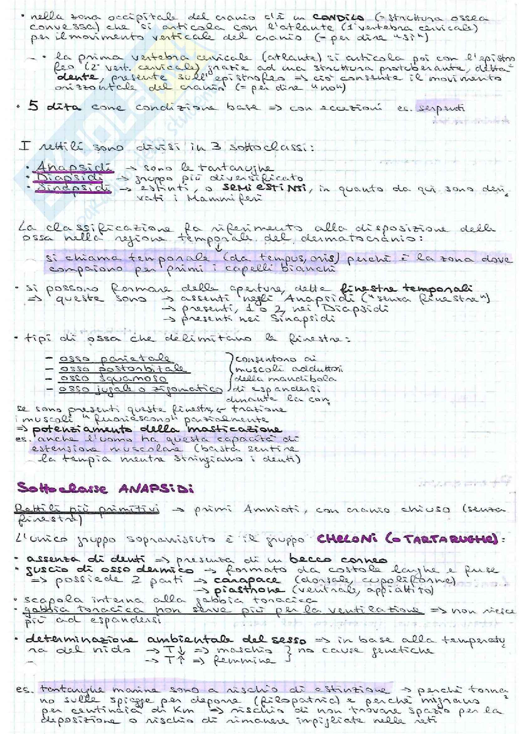 Anatomia comparata Pag. 41