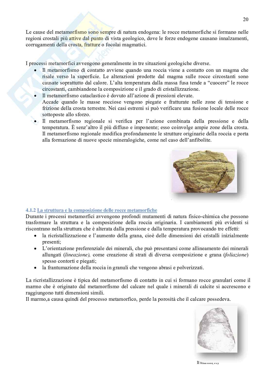 Metamorfosi proteiforme Pag. 21