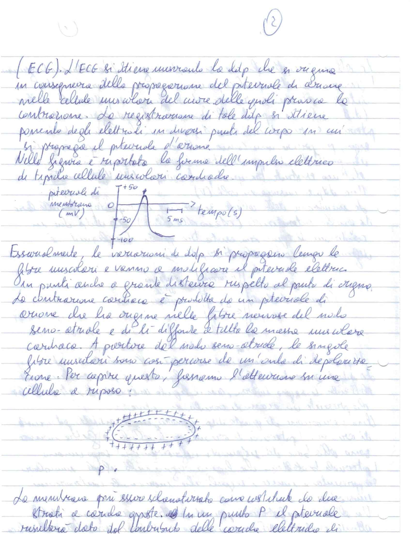 Fisica - elettricità e ECG Pag. 2