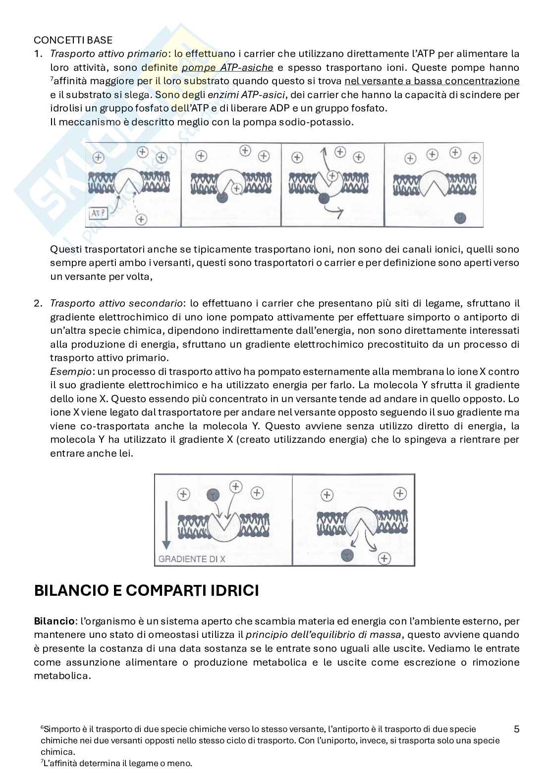 Riassunto esame Fisiologia umana, Prof. Colangeli Roberto, libro consigliato Principi di fisiologia , Berne & Levy Pag. 6