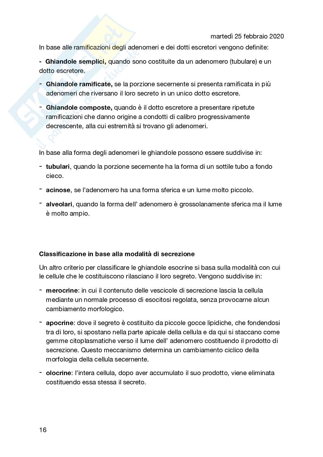 Apparato ghiandolare e sistema endocrino Pag. 16