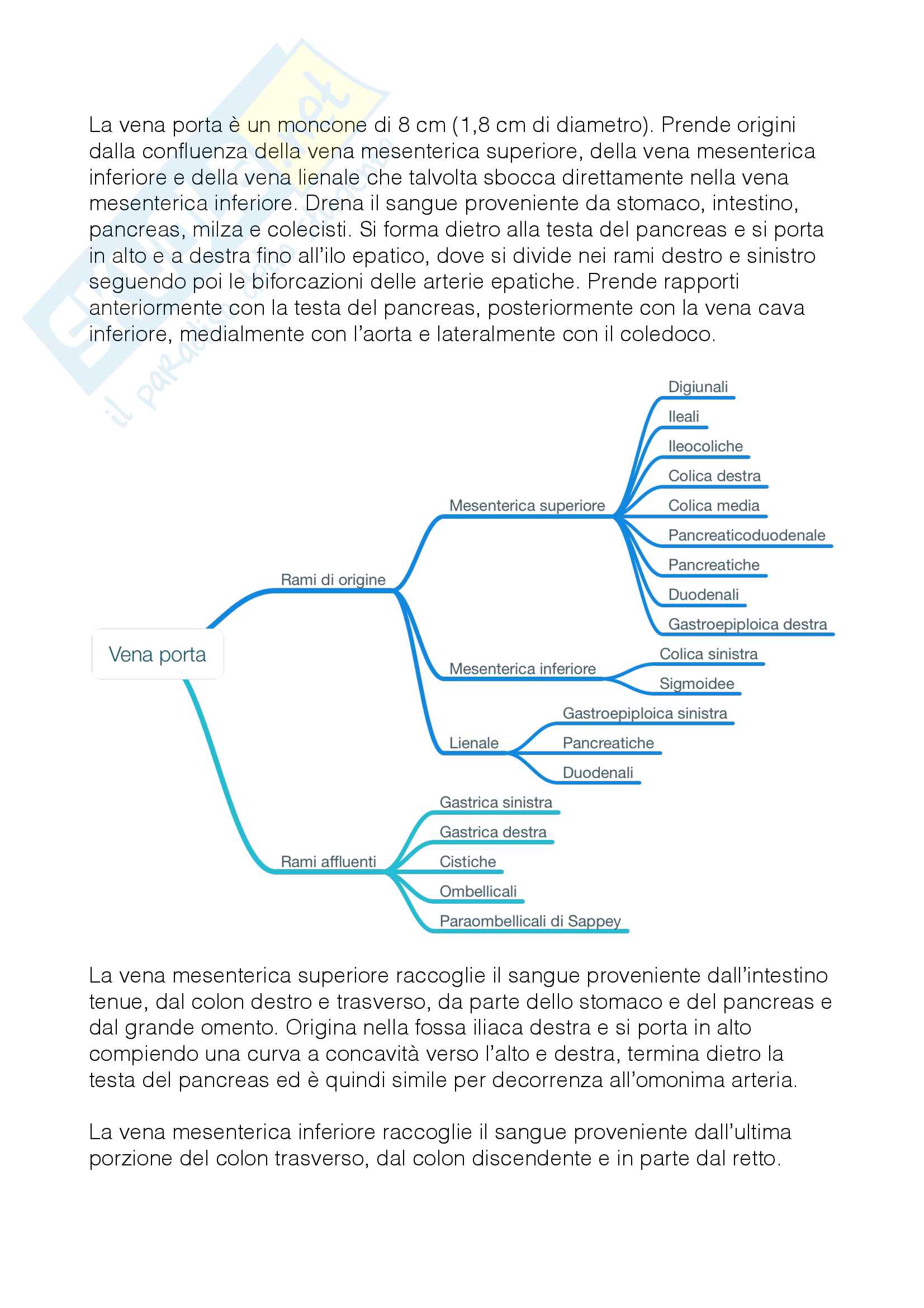 Arterie e vene Pag. 21