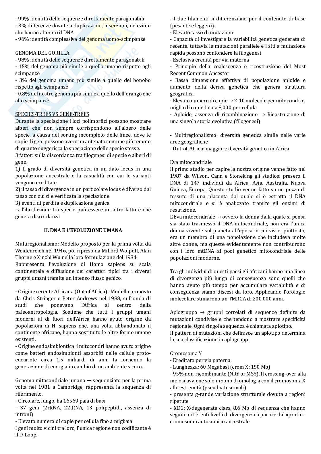 Antropologia Pag. 6