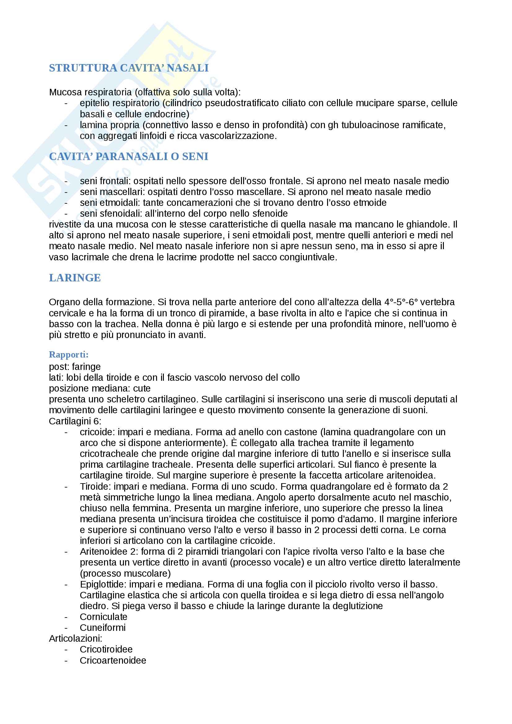 Apparato respiratorio Pag. 2