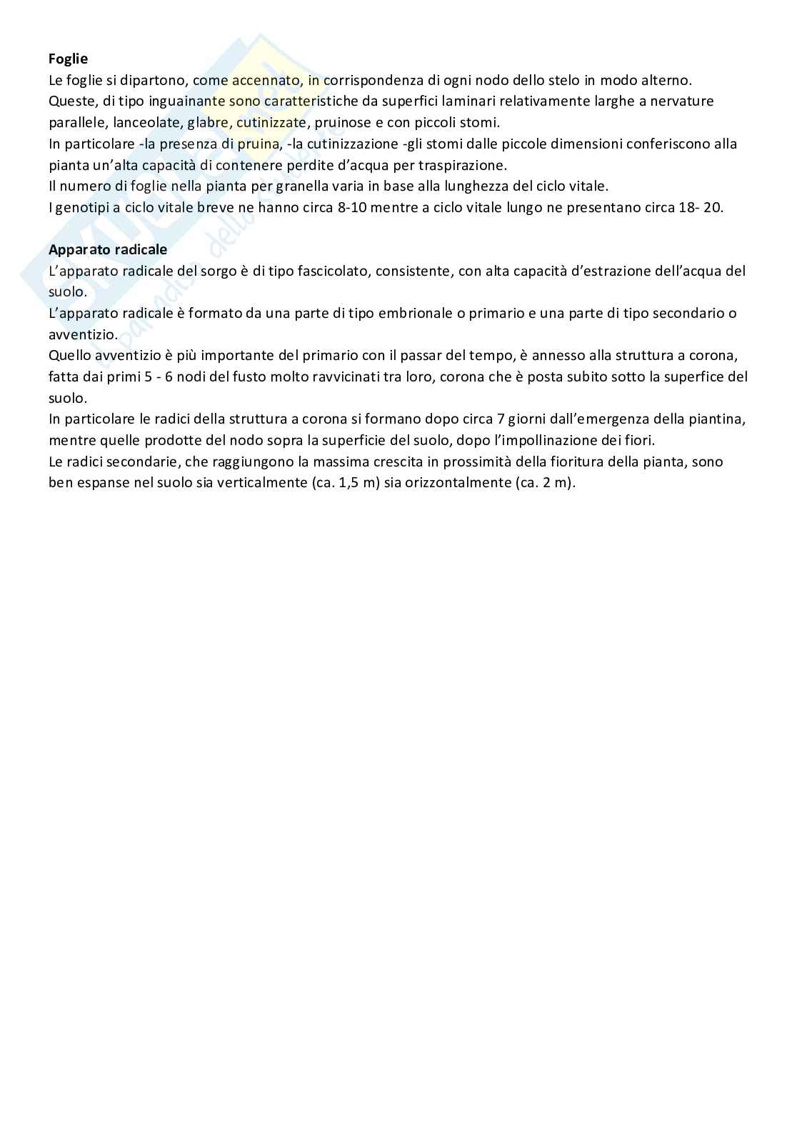 Produzione di materie prime di origine vegetale  Pag. 71