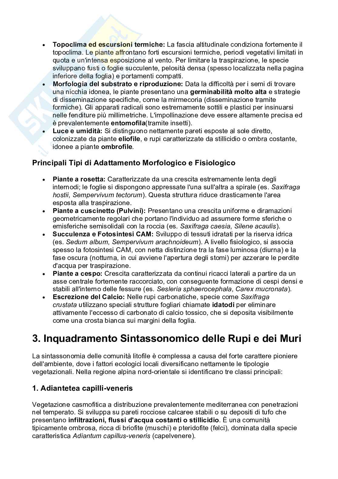 Monografie di Geobotanica Pag. 6