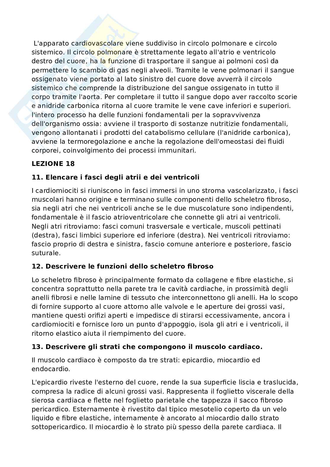 Risposte a domande d'esame di Anatomia umana Pag. 2