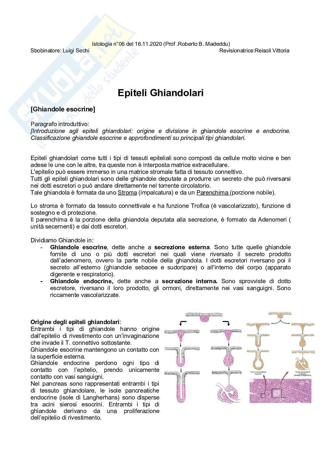Istologia completo Pag. 16