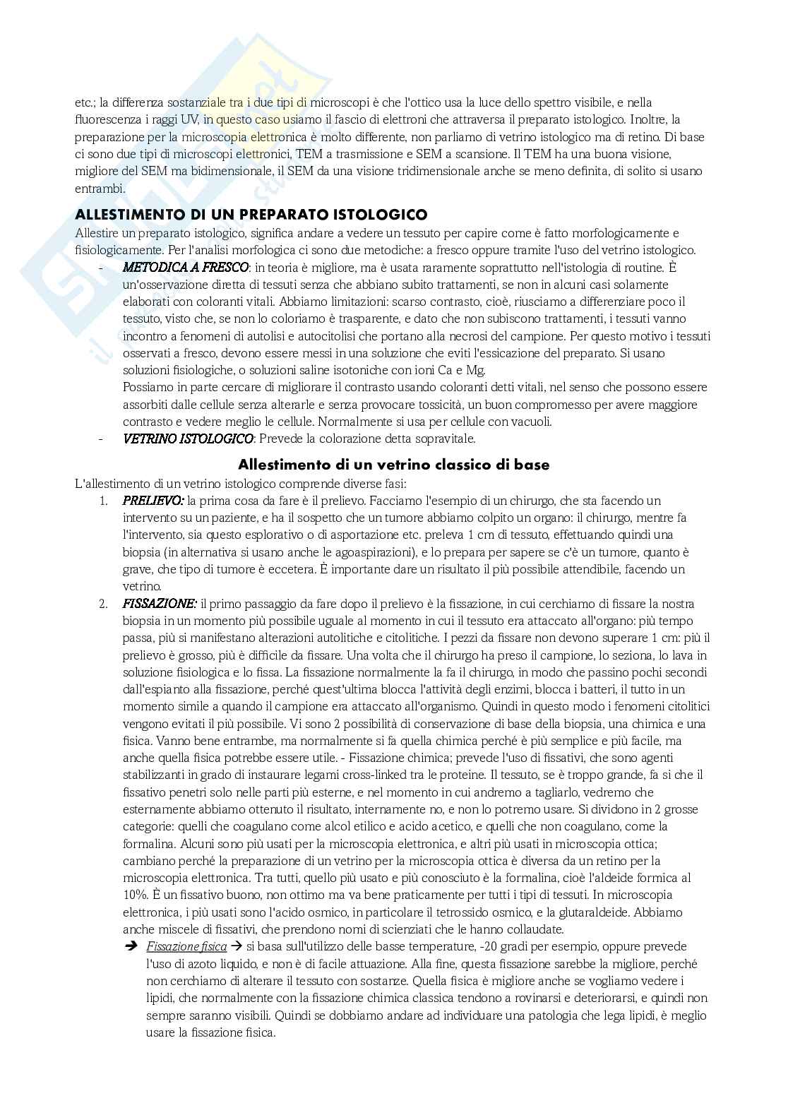 Istologia completo Pag. 2