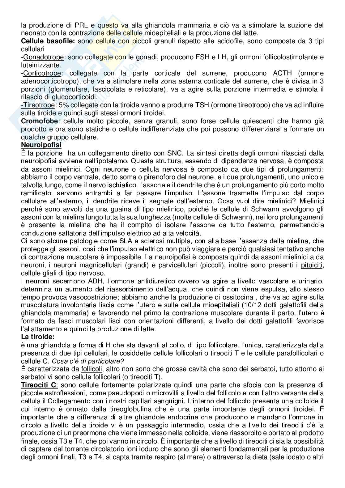 Istologia completo Pag. 26