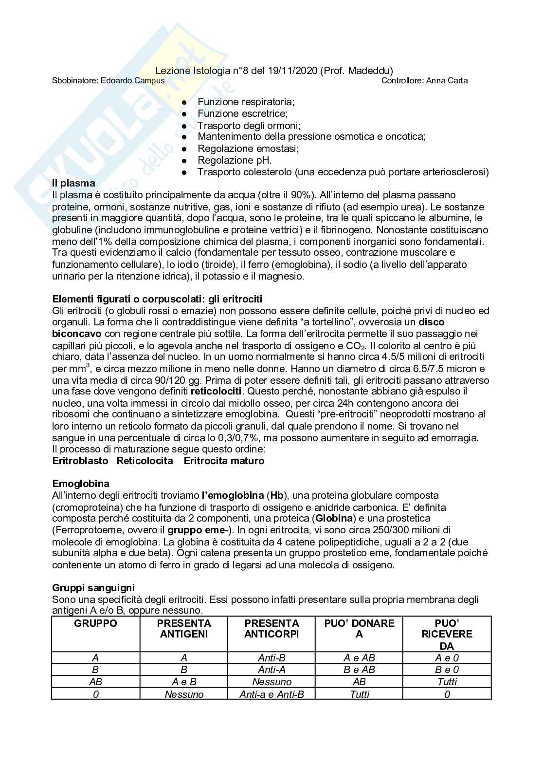 Istologia completo Pag. 31