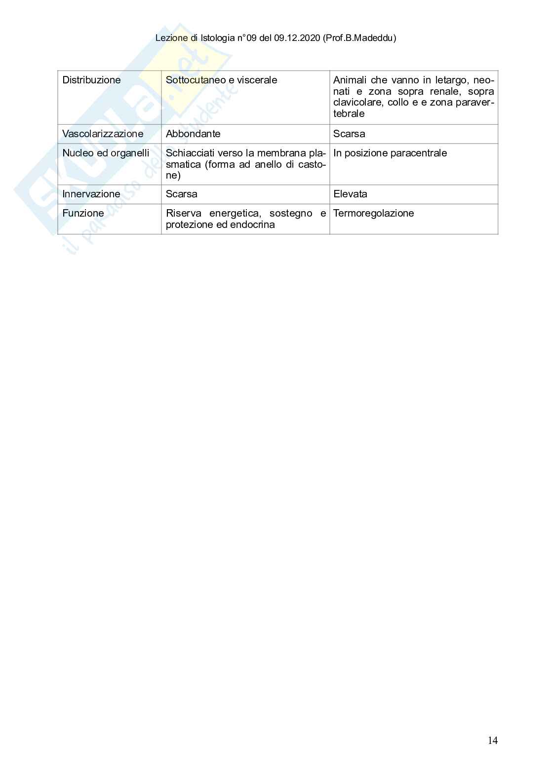 Istologia completo Pag. 46