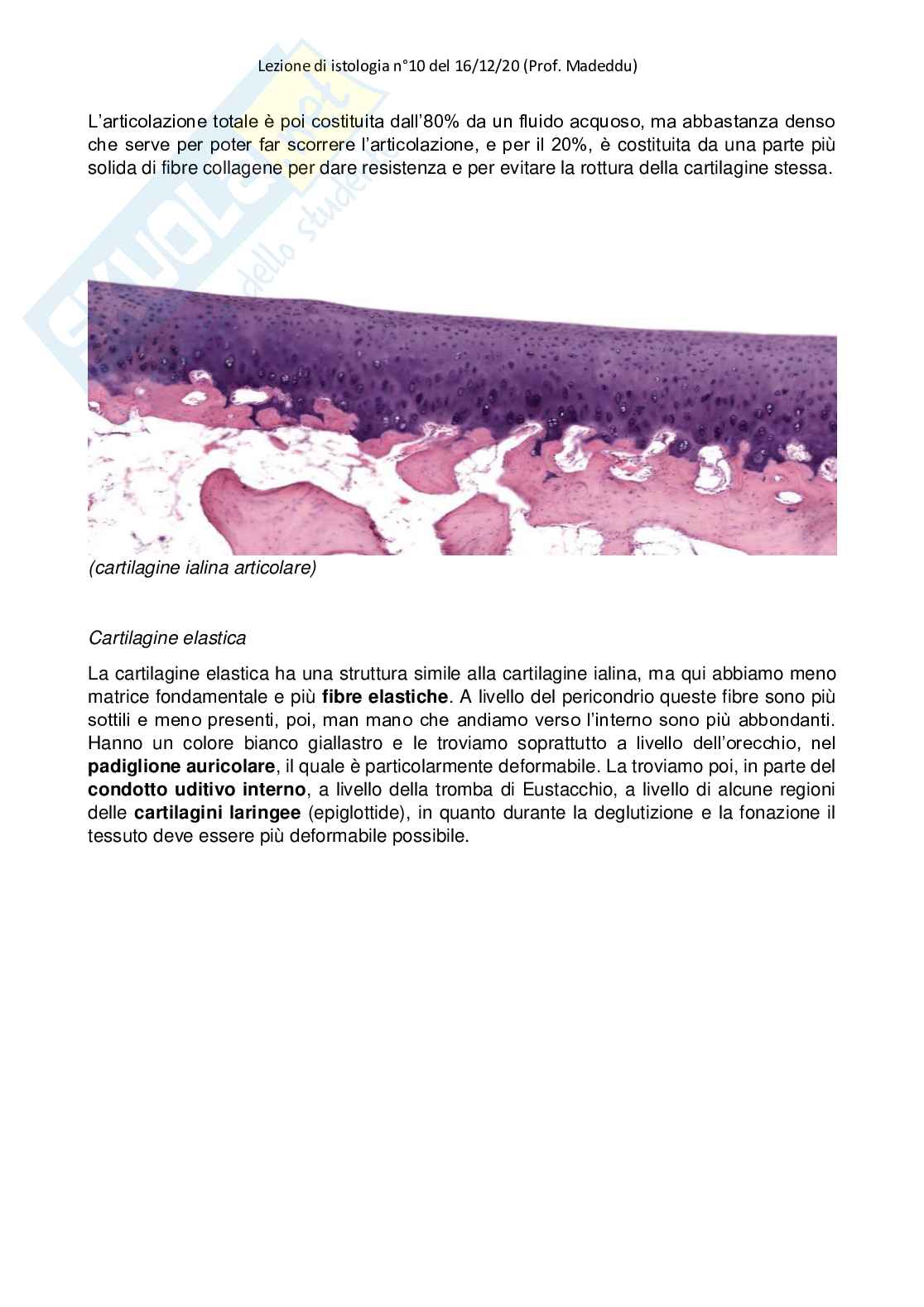 Istologia completo Pag. 51