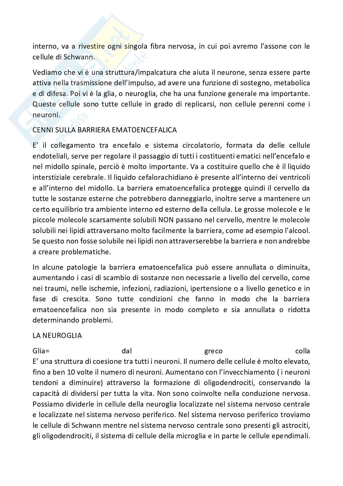 Istologia completo Pag. 66