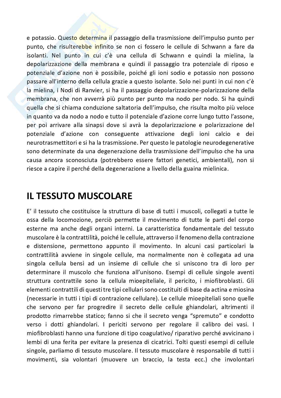 Istologia completo Pag. 71