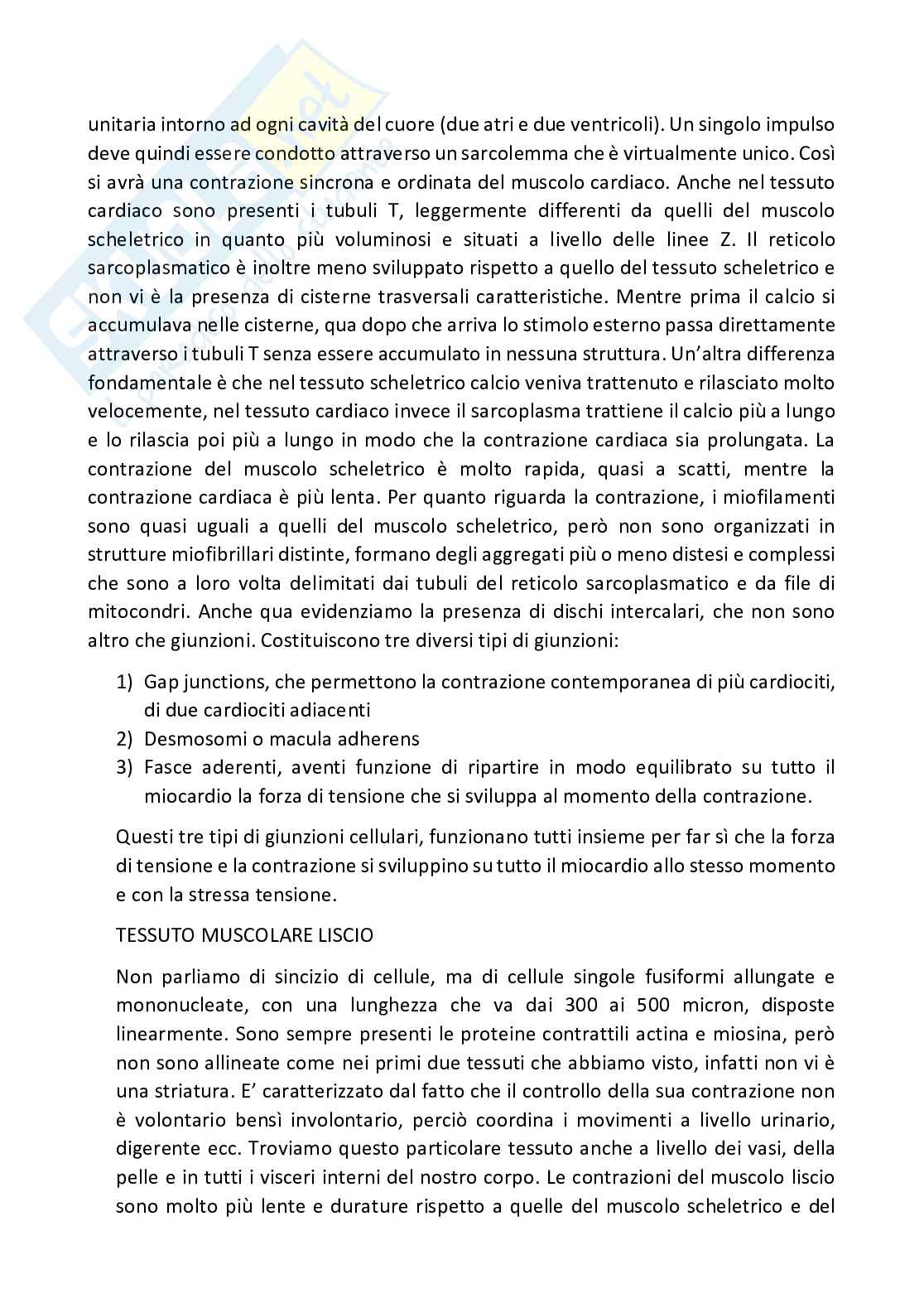 Istologia completo Pag. 76