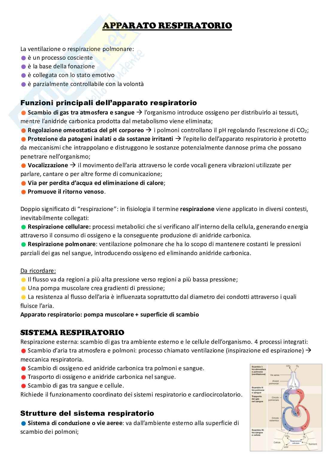 Apparato respiratorio Pag. 1