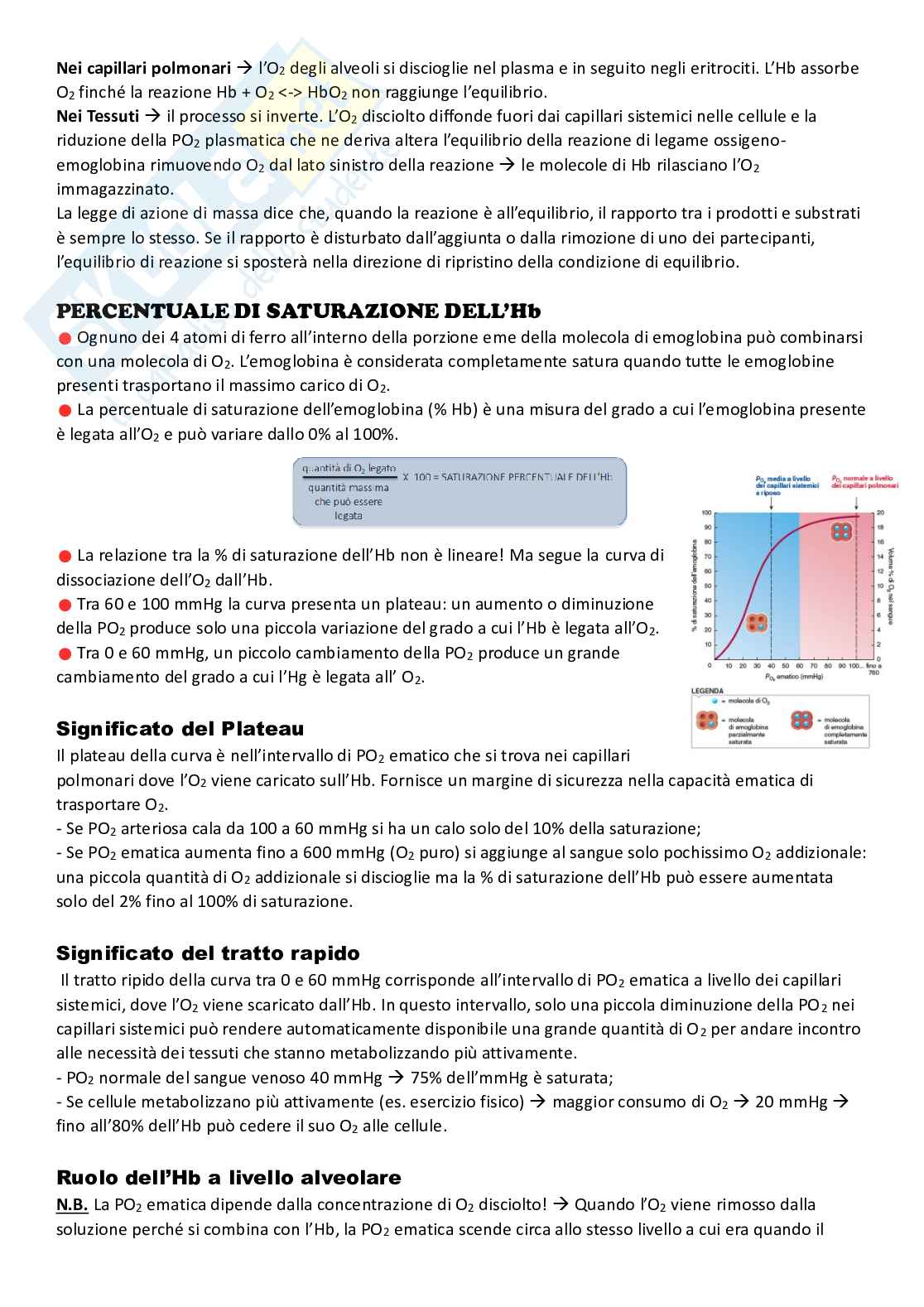Apparato respiratorio Pag. 11