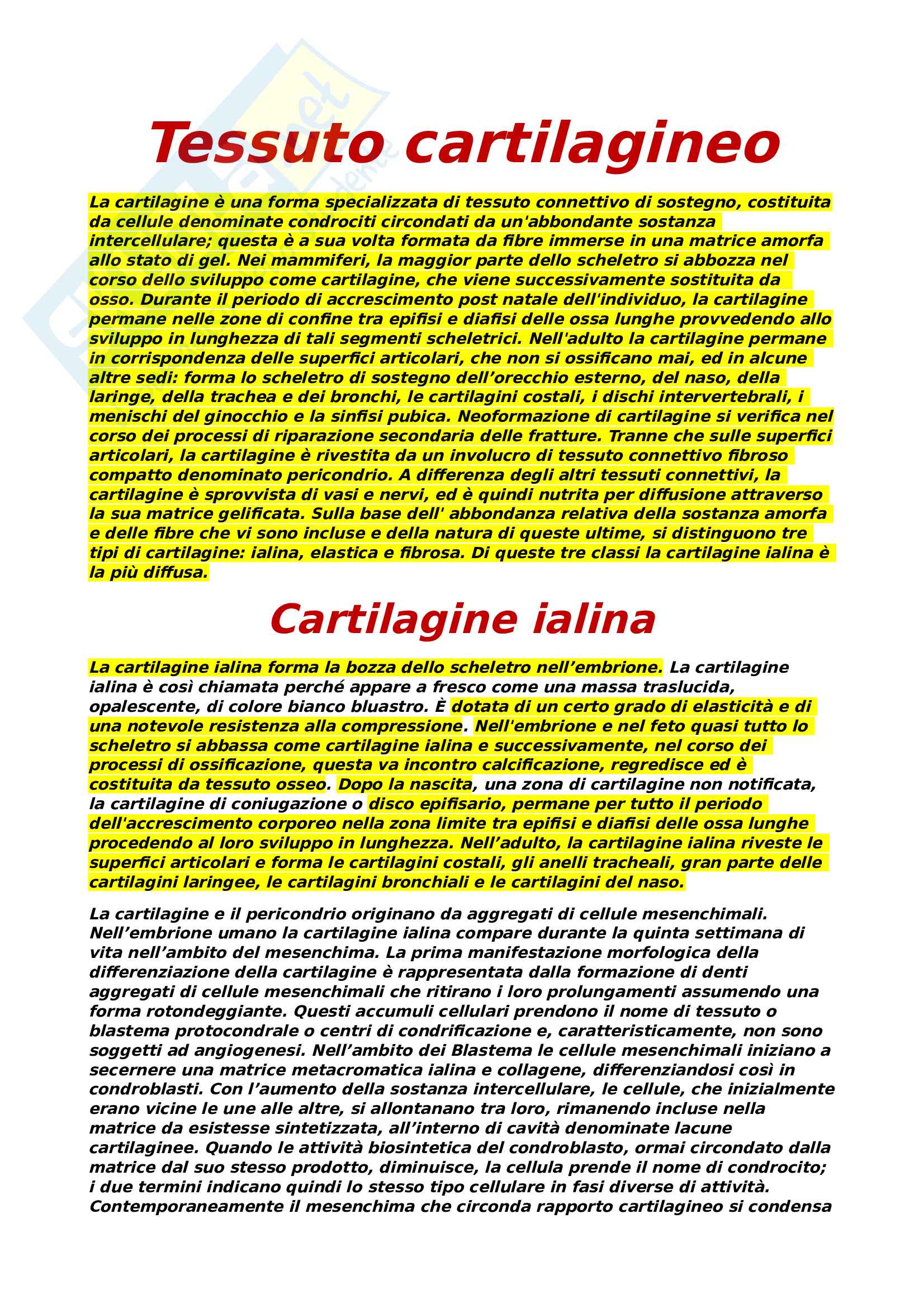tessuto cartilagineo, istologia Pag. 1