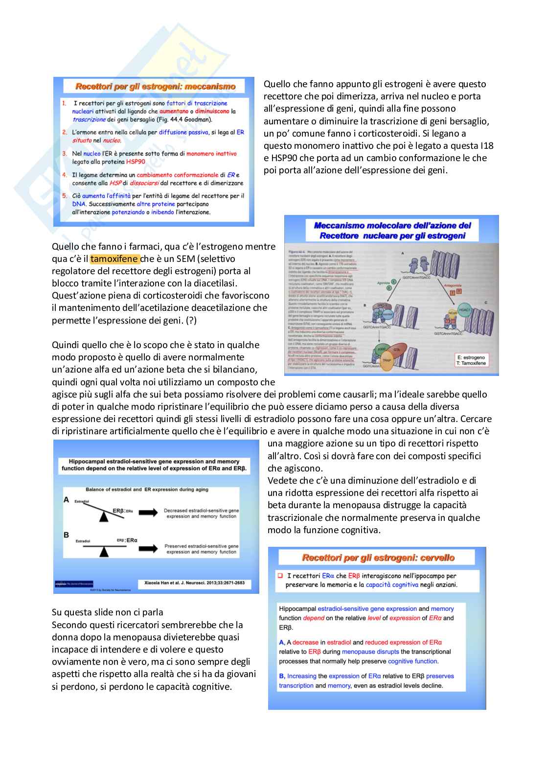 Farmacoterapia 2 - estrogeni e apparato oculare Pag. 11
